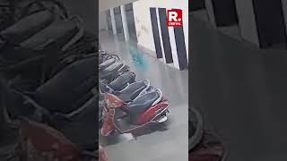 Shocking CCTV: Leopard Kills Stray Dog at IIT Bombay Campus