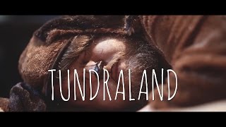 Video thumbnail of "Me Like Bees - Tundraland (Official)"