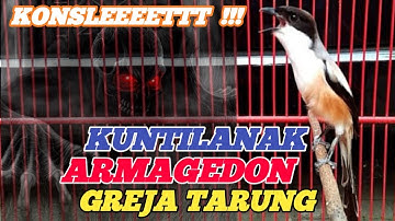 CENDET KONSLET ARMAGEDON KUNTILANAK GREJA  !!!