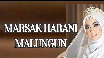 MARSAK HARANI MALUNGUN Hits Lagu Populer Mandailing Tapsel