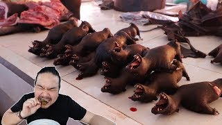 Download lagu KULINER PALING EXTREME SE INDONESIA KULINER PALING EXTREME SE INDONESIA