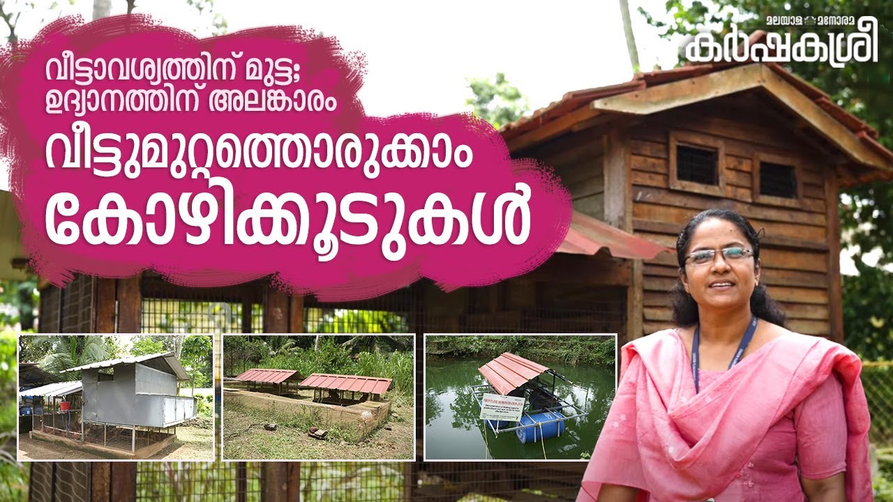 വീട്ടുമുറ്റത്തൊരുക്കാം കോഴിക്കൂടുകൾ: മുട്ടക്കോഴിക്കൂടുകൾക്ക് മൂന്നു മാതൃകകൾ