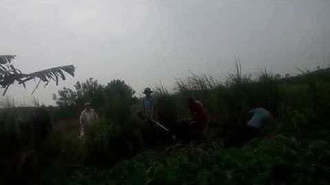 Bắt chuột đồng từ a đến z