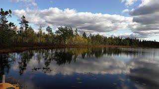 112 км. Обзорный взгляд с железки.Через болото в осеннюю сказку.