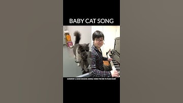 Piano Duet with Baby Cat singing a Cute song to Mom Cat