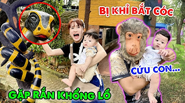 ZINO THAM QUAN SỞ THÚ GẶP RẮN HỔ MANG KHỔNG LỒ - VÊ VÊ CHANNEL
