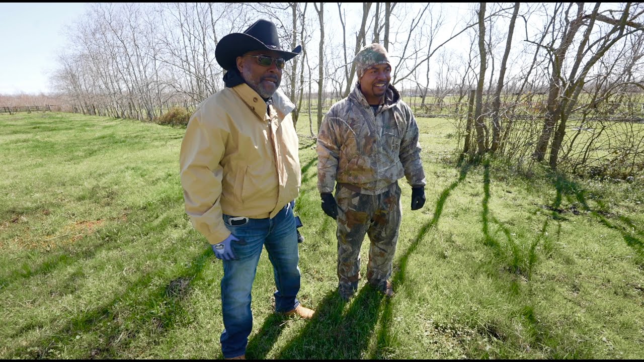 WHERE'S THE BEEF? From field to plate. (COUNTRY STYLE)