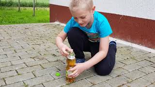 Apfelschorle Explosion