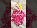 Rose day in kokikar style!!