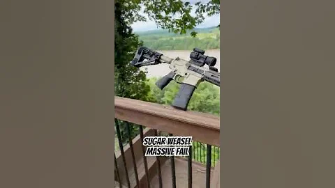 Massive fail taking a video of my Q Sugar Weasel