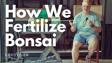 How We Fertilize Our Bonsai at RAKUYO