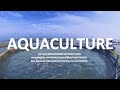 How to use MBBR Media in recirculating aquaculture system(RAS)