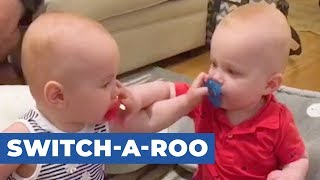 Twin Babies Steal Each Others Pacifiers