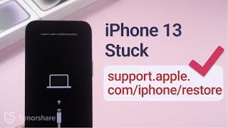 How to Fix support.apple.com/iphone/restore on iPhone 13/ 13 Pro
