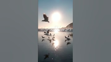 والذين كذبوا بآياتنا سنستدرجهم من حيث لا يعلمون | ياسر الدوسري | سورة الأعراف