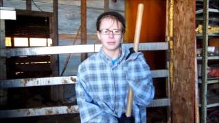 The Homestead Act: and it's effects