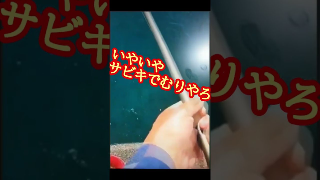 釣りとバイクを楽しむ ちこたん(ちこ爺) - YouTube