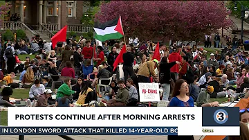 Protests at UW-Madison campus enter night 3 despite morning arrests