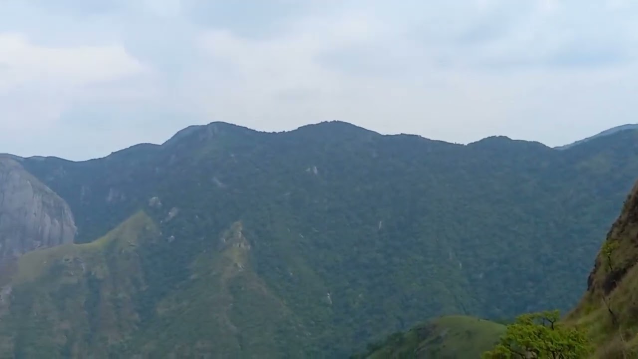 Munnar Chaturanga para