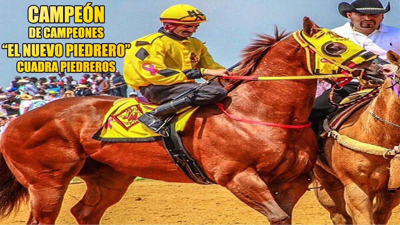 Corrido Del Americano EL NUEVO PIEDRERO/SATANAS | CONJUNTO PIRAMIDE | CORRIDOS DE CABALLOS