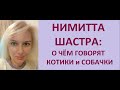 Ведический Астролог Куликова Ольга
