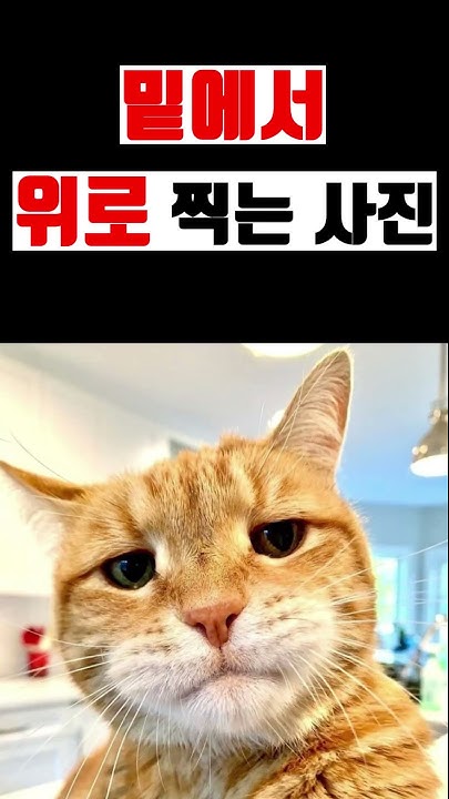 가족프사 - YouTube 가족프사 - Youtube
