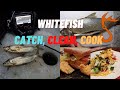 Whitefish Catch Clean and Cook