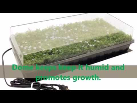 Lumanux Seed Propagating Seedling Heating Mat 10 X20 You Lumanux Seed Propagating Seedling Heating Mat 10 X20