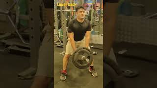 Best lower back workout at gym #shorts #youtubeshorts #fitness #workout #gym #new #status #trending