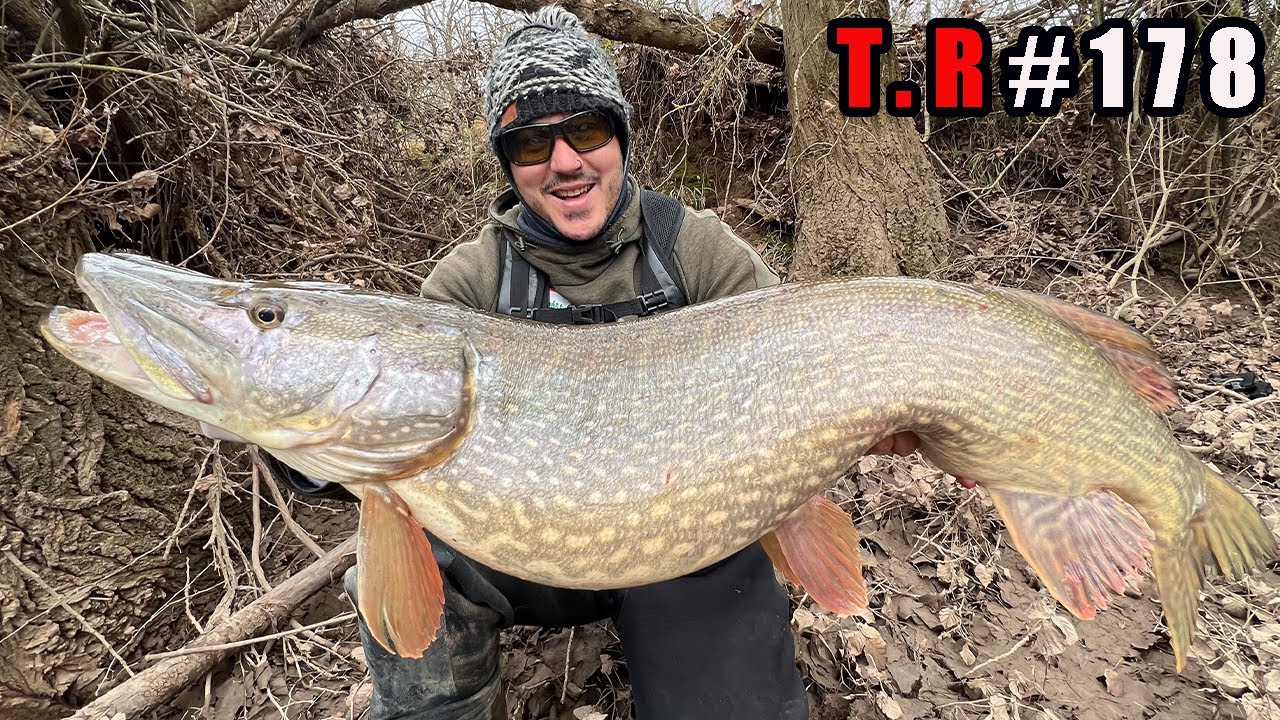 ⚠️PESCO UN LUCIO DE 12 KILOS (DIA DE ACTIVIDAD )👈🎣