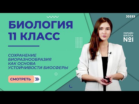 Сохранение биоразнообразия как основа устойчивости биосферы. Видеоурок 32. Биология 11 класс