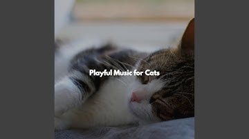 Smooth Ambiance for Open Work Floors