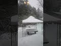 the snow is taller than 38cm
