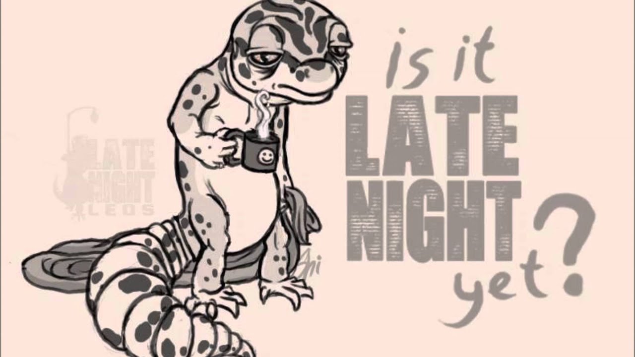 how to video while playing music LATE NIGHT LEOS 048 LEOPARD GECKO BREEDER LIFE WITH STEVE SYKES OF GECKOS ETC