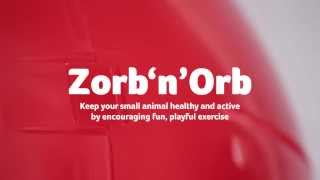 Small Pet Toy - Zorb'n'Orb Exercise Ball