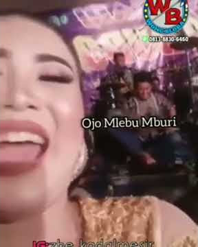 Story WA Viral || Plesetan lagu Kartonyono medot janji ( mbiyen aku jek betah suwe suwe mlumah )