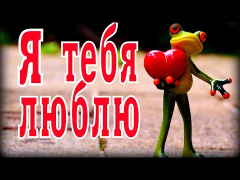 Я тебя люблю