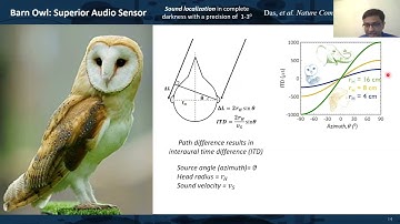 NACK - Novel Two-dimensional (2D) Materials and Devices for Biomimetic Sensing and Computing