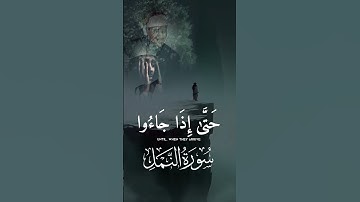 [ويوم نحشر من كل أمة فوجا ممن يكذب بآياتنا فهم يوزعون][سورة النمل][تلاوةخاشعة][عبدالباسط عبدالصمد ]