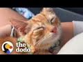 Guy Rescues Kitten From Dumpster | The Dodo