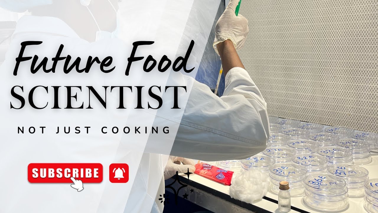 What Can You Do With a Food Science &Technology Degree? | Career Opportunities Explained