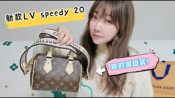Louis Vuitton Speedy 20 Insert Issue • Should you use a bag