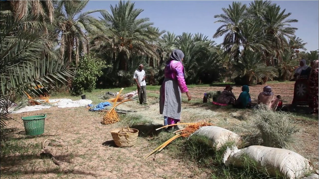 Les bonnes pratiques oasiennes en vidéo 5/5 - Gestion participative de l'eau - Maroc VO