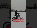 Talaria sting on Homemade ski!!!   #talaria #surron #ebike  #trending #shorts
