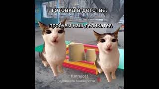 детство VS сейчас💥💥 тгк: funnycatmems2502 #котымемы #мемы #коты #врек #врекомендации