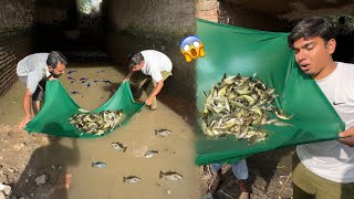 1000+ Fishes Pakar Li