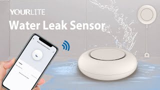 Yourlite Home Tuya App Control Wifi Zigbee Smart Water Leak Sensor