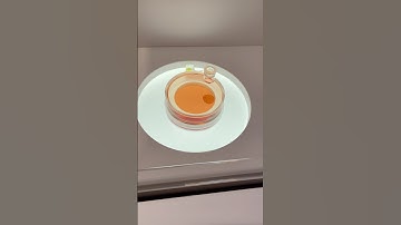 iPS Cells for the Future in Osaka Kansai Expo 2025