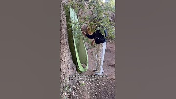 How I Shot A Fashion Editorial Campaign