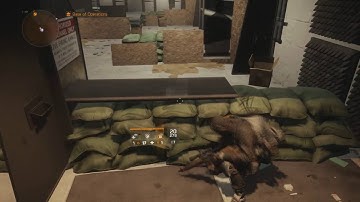 The Division Endgame Builds: Sentry